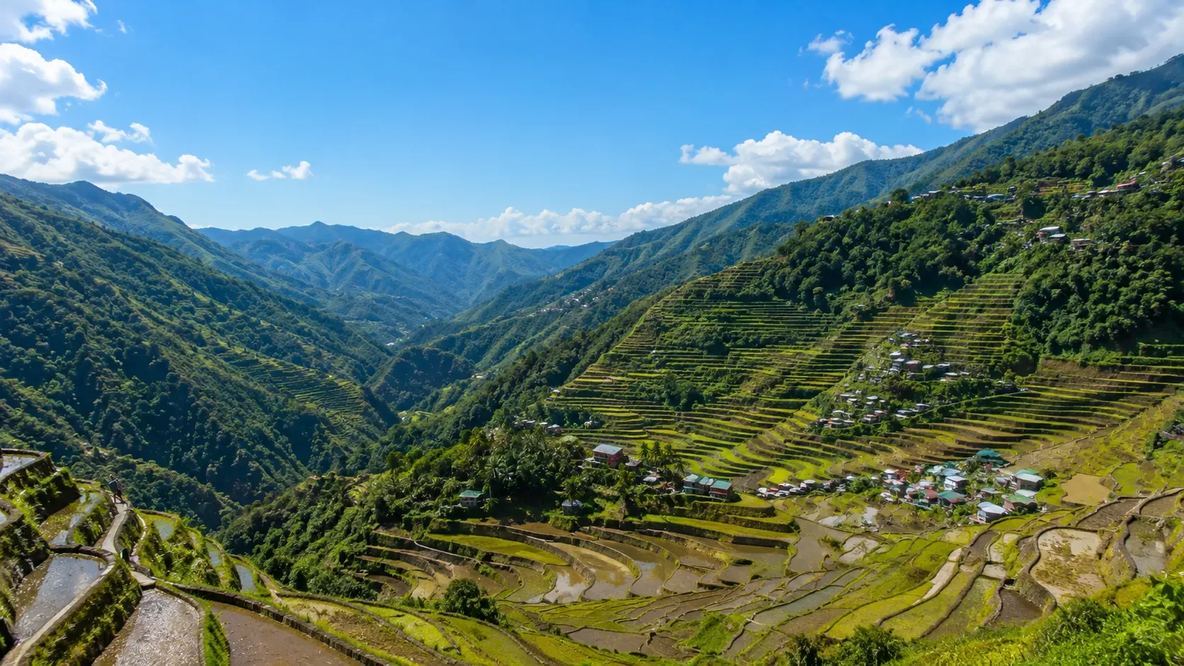 Les rizières en terrasses autour de Banaue, dans les hautes terres de Luçon.