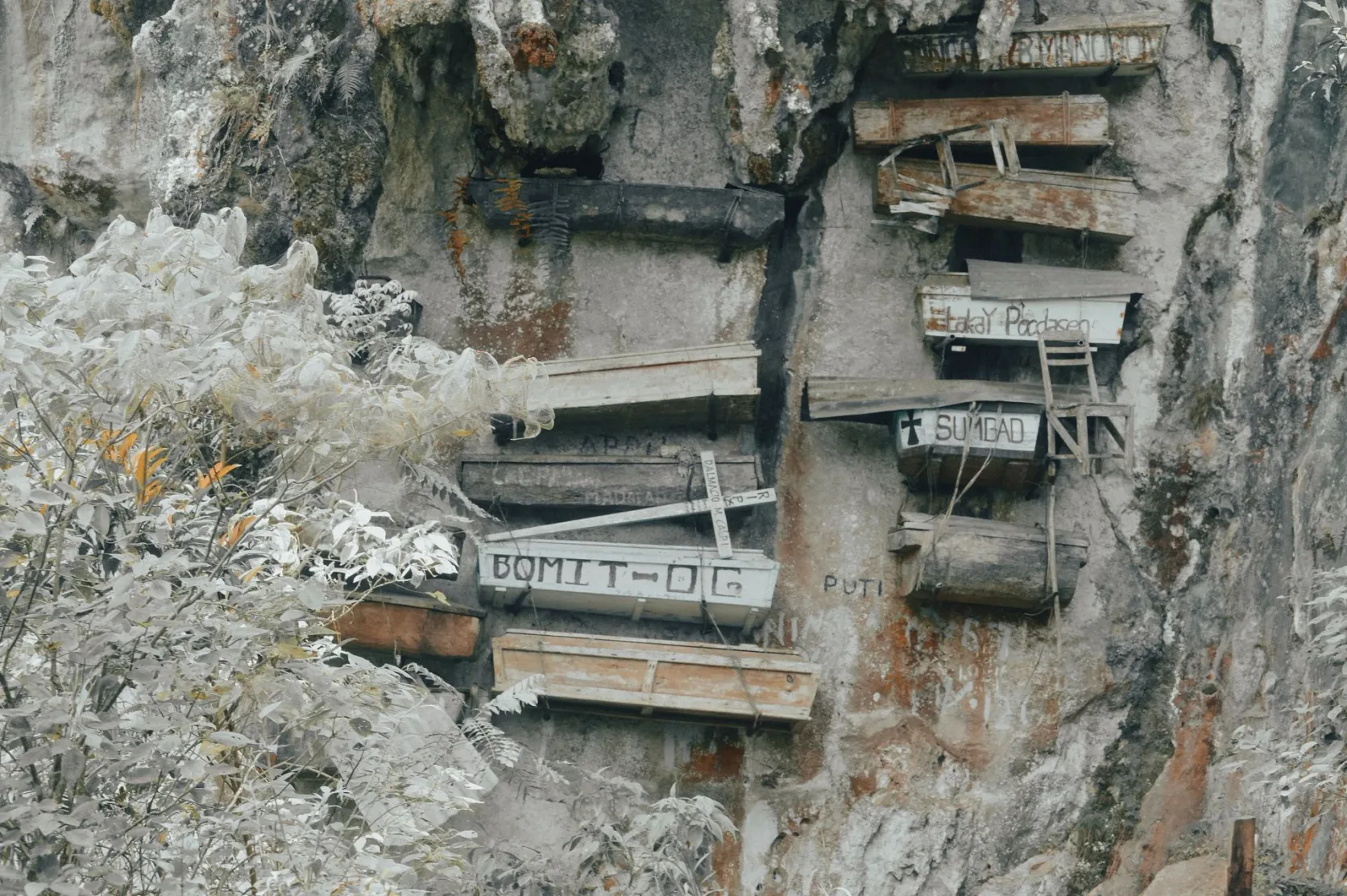 Cercueils suspendus sur une falaise calcaire à Sagada.