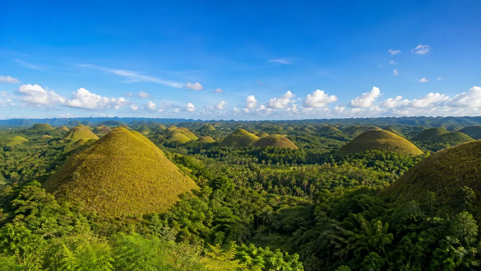 Le paysage de Bohol, avec les Chocolate Hills à l'intérieur des terres et la côte de Panglao au loin.