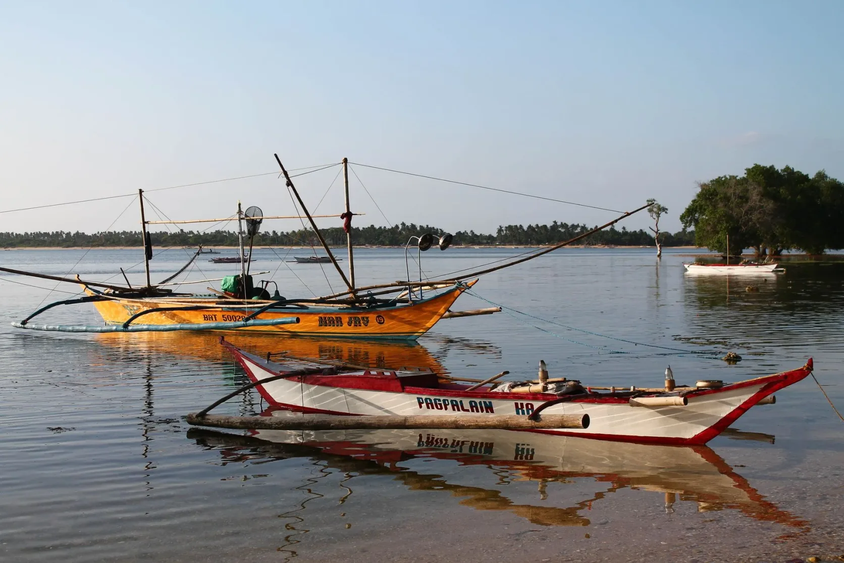 Des bangkas amarrées le long d'une côte philippine.