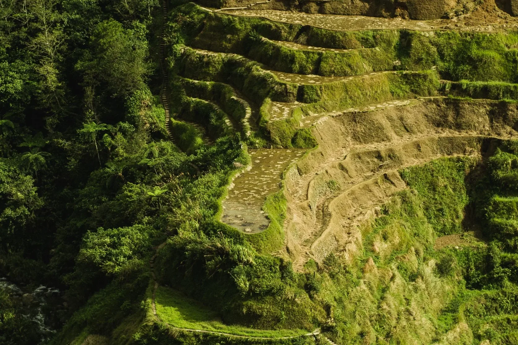 Les rizières en terrasses de Banaue vues du ciel.