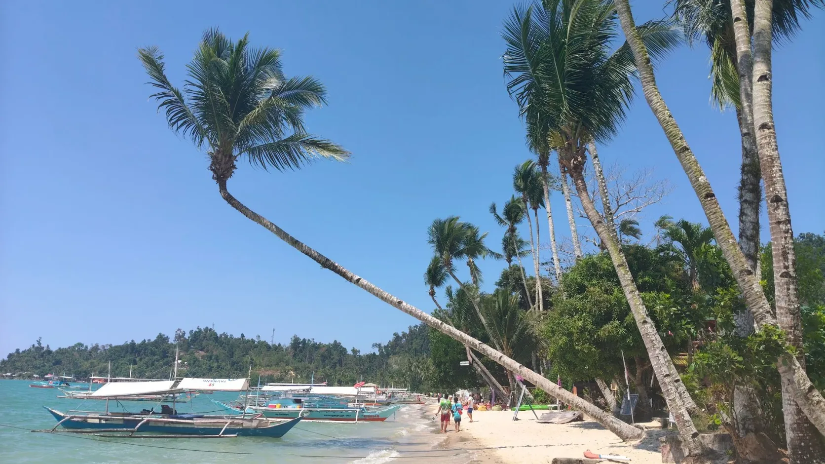 Des bateaux échoués sur une plage bordée de palmiers.