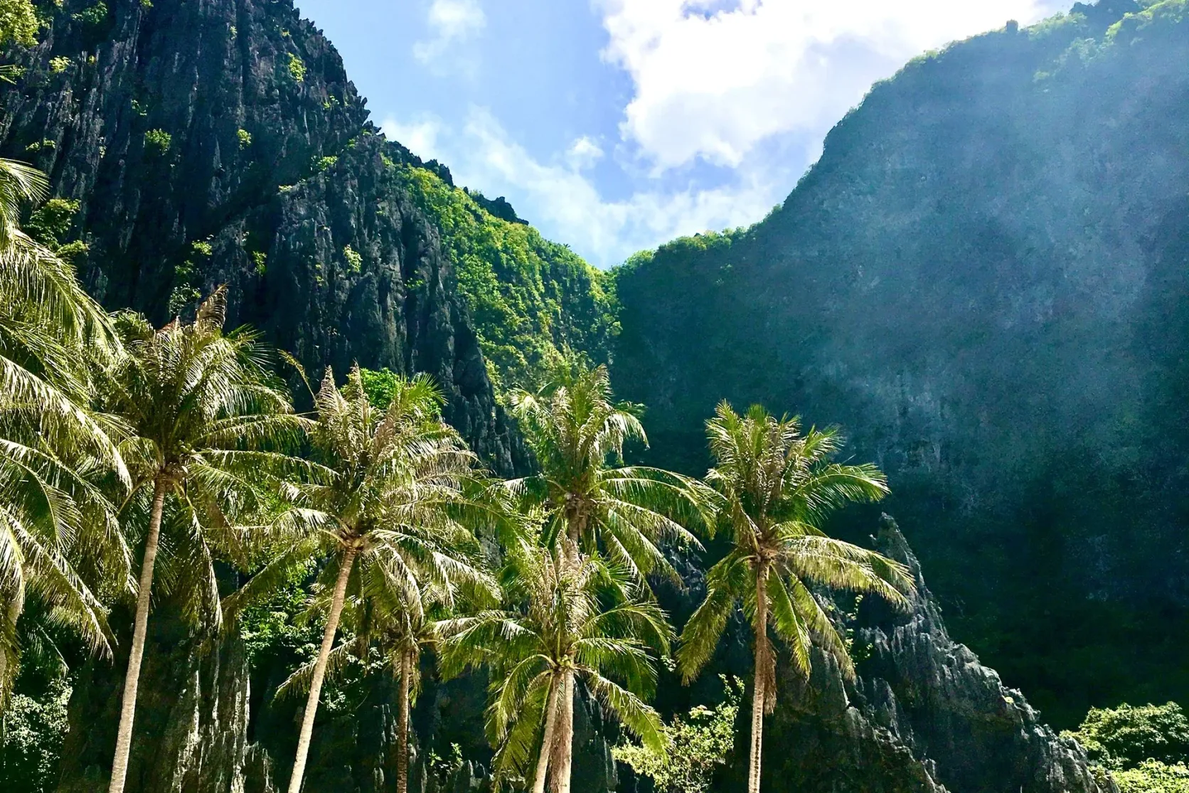 Des cocotiers sur une plage d'El Nido au pied d'une montagne calcaire.